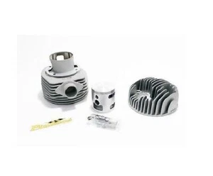 Gruppe Thermisch PINASCO " Magny-Cours S2 " 25030942 Vespa 150 Super 150 VBC1T - Bild 1 von 1