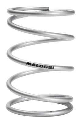 MALOSSI Molla Contrasto +130% per Piaggio Sfera RST 50 1995 1996 1997 - Immagine 1 di 3