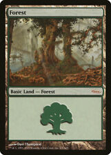 Forest (Arena 2005) - Arena League 2005 - Magic the Gathering MTG