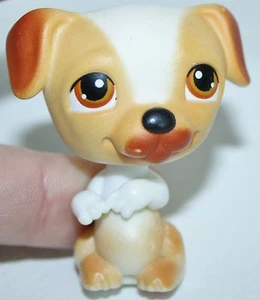 KLEINST PET SHOP HUND JACK RUSSELL TERRIER BRAUN & WEISS HASELAUGEN SITZEN #40 - Bild 1 von 1