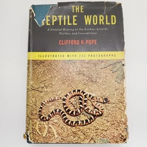 Die Reptilienwelt Buch Naturgeschichte der Schlangen, Eidechsen, Schildkröte Hausunterricht - Bild 1 von 24