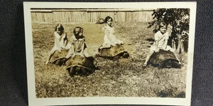 Cartolina fotografica reale Galapagos ragazza tartaruga gigante zoo a cavallo anni '30 RPPC D30 - Foto 1 di 4