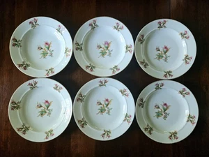 6 Antique Rimmed Soup Bowls Haviland Limoges Moss Rose & Thistle Porcelain - Picture 1 of 15