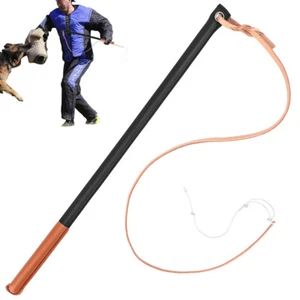 Hundetraining Peitsche Lederpeitsche Hunde Haustiertraining Agitationsleinen - Bild 1 von 10