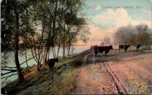 Postal Carter Lake Omaha Nebraska NE ganado pastoreo pliegue - Imagen 1 de 3