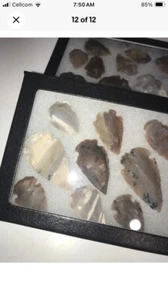 1x Native American Arrowhead Points Set Of 9 Glass Case Spearheaded Teacher Dis - Picture 1 of 12