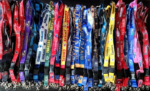 NFL Breakaway Lanyard Keychain Football TEAM COLORS Multiple Styles ID Keys Cover