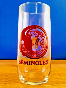 Florida State Seminoles Glass Collectible Cup NCAA Football Vintage FL 16 oz - Picture 1 of 8