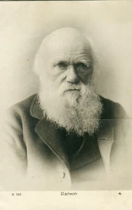 RAR Foto Charles Darwin, 1879, lebenslange Ausgabe. Russisches Reich. - Bild 1 von 12