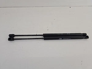 2011-2016 Hyundai Equus Front Hood Lift Support Struts Shocks Springs Qty(2) - Picture 1 of 8