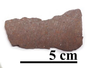 NEU SELTEN!! Dhofar 132, Achondrit, Ureilit Meteorit, Scheibe, 13,9 Gramm - Bild 1 von 2