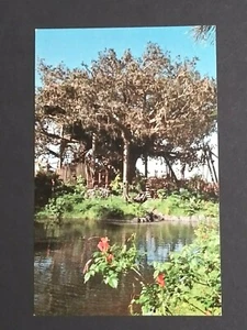 Walt Disney World Florida Schweizer Familie Insel Baumhaus UNP Postkarte um 1970 (b - Bild 1 von 5