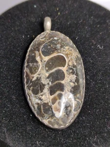 Vintage-Fossilized Shell Pendant - Picture 1 of 2