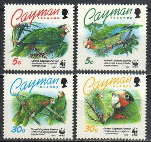 Cayman Islands Stamp 668-671  - Grand Cayman Parrot - Image 1 of 1