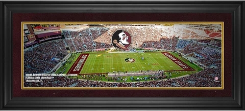 Seminoles FRMD 10x30 Bobby Bowden Field at Doak Campbell Stadium Panoramic Photo Cover