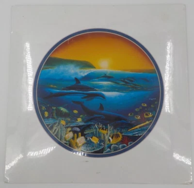 A ARTE DO ARTISTA WYLAND ROBERT WYLAND 1992 IMPRESSÃO CÍRCULO DE GOLFINHOS OCEÂNICOS FOSCO ABERTO - Imagem 1 de 4