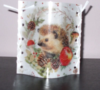 1 Bezauberndes Deko Windlicht Igel Apfel Pilze Herbst Tischlicht Mitbringsel - Bild 1 von 2