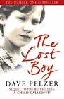 The Lost Boy: A Foster Child's Search for the Love of a Family by Dave Pelzer. P
