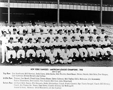 NY Yankees 1955 AL Champions, 8x10 B&W Team Photo