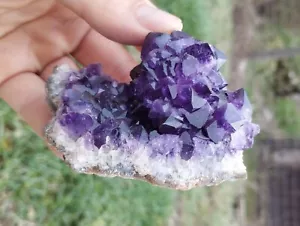 hérisson D'Amethyste d'Uruguay 199g belle couleur amas amethyste - Foto 1 di 7