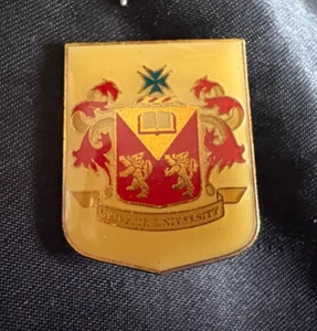 PIN INSIGNIA: RARO ESCUDO GRIFFITH UNIVERSITY BRISBANE AUSTRALIA - Imagen 1 de 4