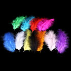 50Pcs/Set Turkey Feathers 10-15Cm Chicken Plumes For Carnival Diy Craft Decor&En
