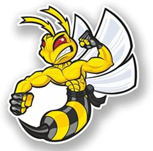 Decal Angry Super Bee Vinyl Sticker For Bumper Laptop 5 nch - Picture 1 of 4