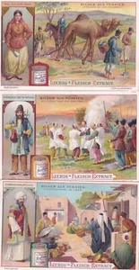 Liebig S905 6 cards In Persia pub. Antwerp in German (1907) - Picture 1 of 14