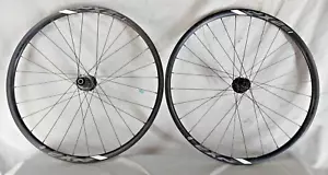 Giant PX2 TLR 29" MTB Fahrrad Laufradsatz 142/100 28S 12mm 12mm Steckachse 6 Bolzen Disc - Bild 1 von 16