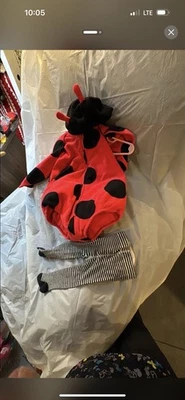 12 Month Lady Bug With Tights Halloween Costume. - Image 1 of 2