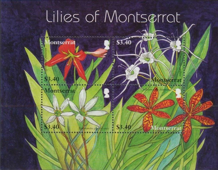 FL032  - MONTSERRAT 2007 FLOWER STAMP LILIES OF MONTSERRAT BLOCK SS MNH - Image 1 of 1