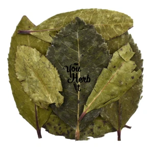 Erdbeerbaum getrocknet ganze Blätter Kräutertee 25g-200g - Arbutus Unedo - Bild 1 von 3