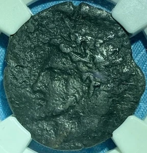 🔥 [015] um 208-118 v. Chr. Königreich Numidien (Berber) - Miscipsa/Massinissa AE26 NGC - Bild 1 von 17