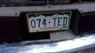 1993 Cadillac Fleetwood porta do tanque de combustível com dobradiça tampa de gás enchimento OEM - Imagem 1 de 4