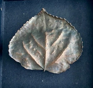 Hoja de hebilla de cinturón Bergamota 1974 Brass Works - Imagen 1 de 9