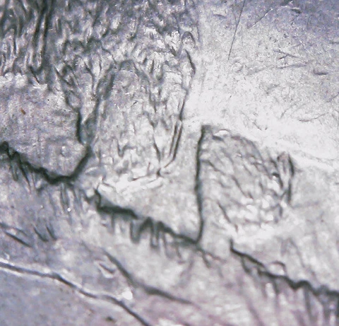 5 Legged Buffalo 2006-D North Dakota State Quarter Rare Doubled Die Reverse Cover