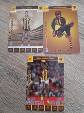 2023 aflw teamcoach silver cards alison gilroy hawthorn