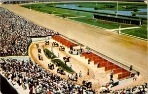 DELAWARE TOWNSHIP HORSE RACING GARDEN STATE PARK VINTAGE POSTCARD - Picture 1 of 2