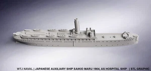 1:700 Saikio Maru 1904 - Picture 1 of 1
