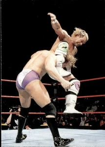 1999 Comic Images WWF SmackDown! #10 Mr. Ass - Picture 1 of 2