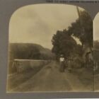 Private Photo Stereoview 1911 Caribbean Barbados Country Road Woman Hat W.I. #33