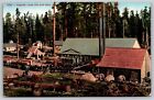 Postcard Lumber Camp And Saw Mill U103