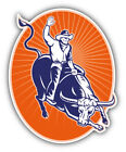 Texas Cowboy Bull Rider Car Bumper Sticker Decal
