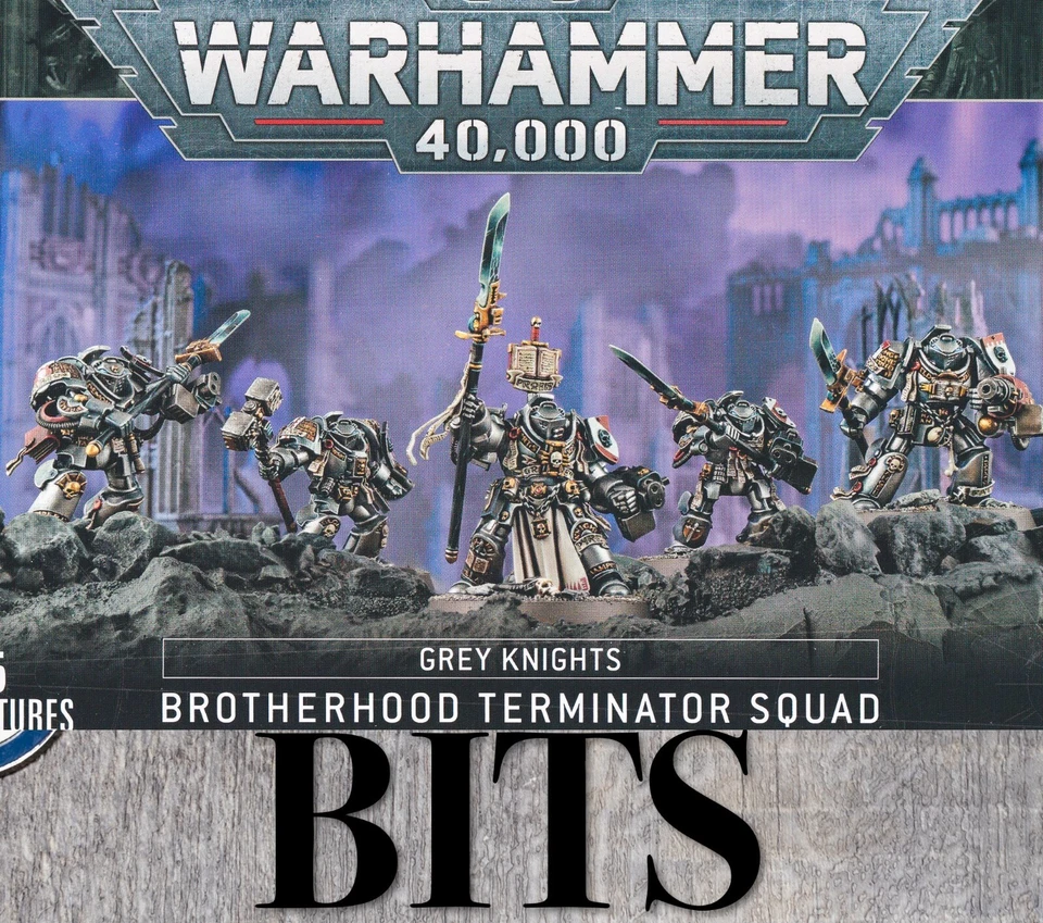 Warhammer 40K Caballeros Grises Marinos ESCUADRÓN TERMINADORES DE LA HERMANDAD Brocas Paladín Foto 1 de 1