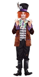 Mad Hatter Madness Men Adult Costume Medium - Picture 1 of 1