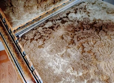 Antique, Pair Louis XVI style armchairs, carved, olive velvet,  - Image 1 of 3