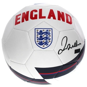David Beckham Autographed England Team Soccer Ball Panini COA Signed Futbol - Picture 1 of 10