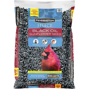 Pennington Select Black Oil Sunflower Seed Wild Bird Food, 40 lb.1Bag - Picture 1 of 4