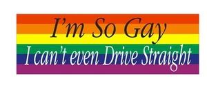So Gay cant drive straight Funny Gay Bumper Sticker or Helmet Sticker D627 - Picture 1 of 1