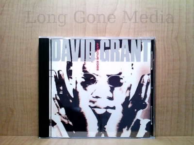 The Anxious Edge by David Grant (CD, Promo, 1990, 4th & Broadway) Foto 1 de 3